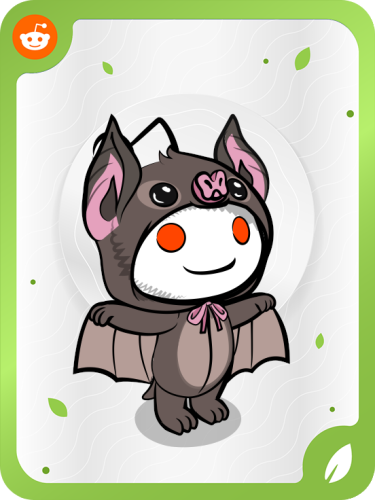 IPFS - Hog-nosed Bats