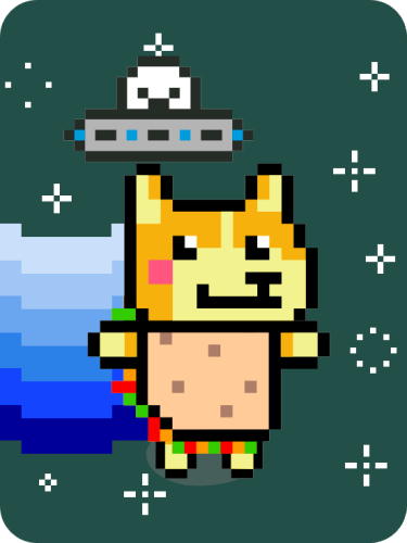 IPFS - Fiesta Dog